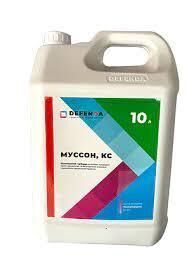 Herbicide Monsoon, nicosulfuron 40 g/l, corn
